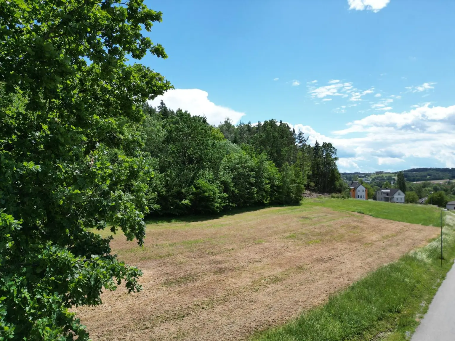 DJI_0965