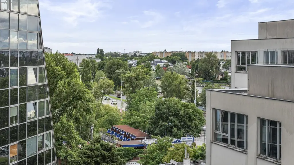Donauplatte beim VIC-Center!!! Blick aufs Wasser vom OBELIX-TURM