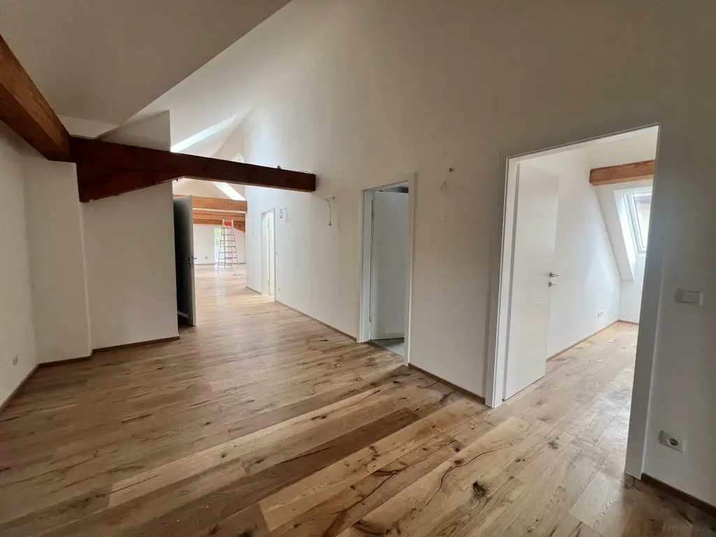 Penthouse-Wohnung + 270m2 Dachterrasse zur Miete als Wohnung oder Büro