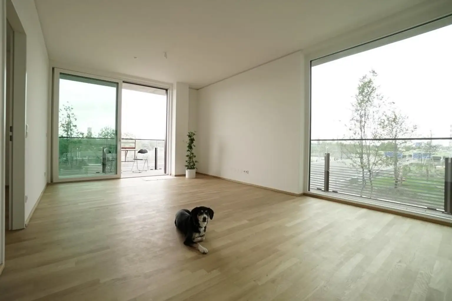 2 Zimmer + Balkon im TRIIIPLE! VIDEOBESICHTIGUNG!