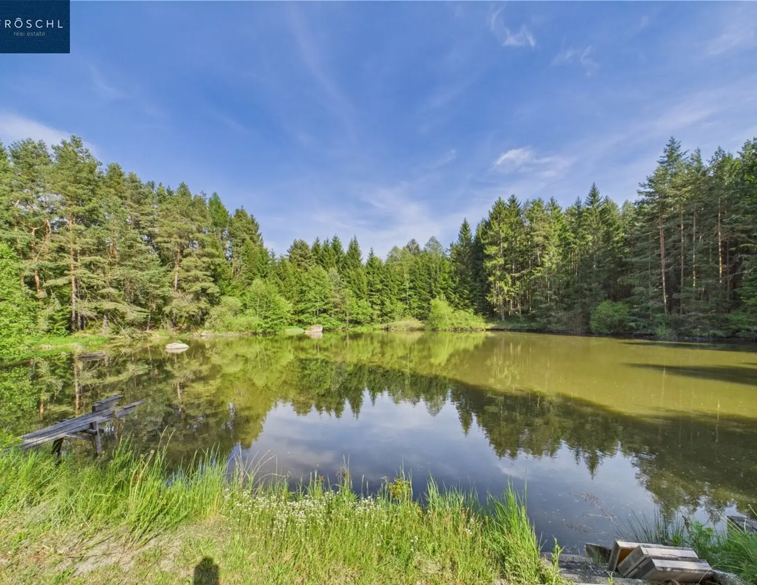 NATURJUWEL WALDVIERTEL - Professionelle Waldteichanlage 4,3 ha - ANGEBOTSVERFAHREN