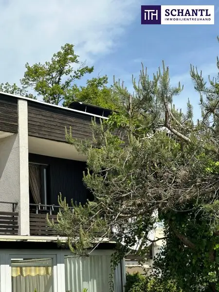 Gepflegte Seewohnung in Ruhelage – Direkter Blick auf den Walschacher See!