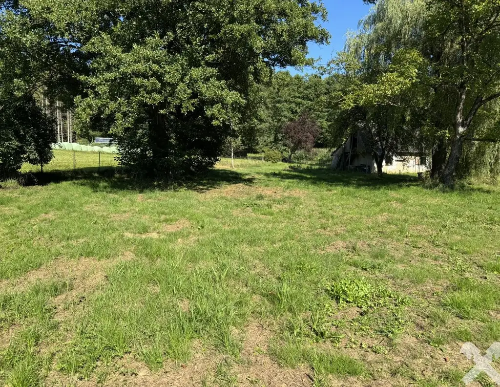 Idyllisch Leben - Grundstück mit altem Baumbestand