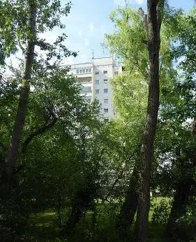 Haus