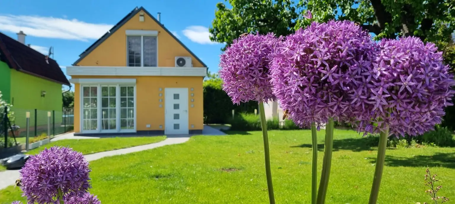 Das Haus mit großem Garten