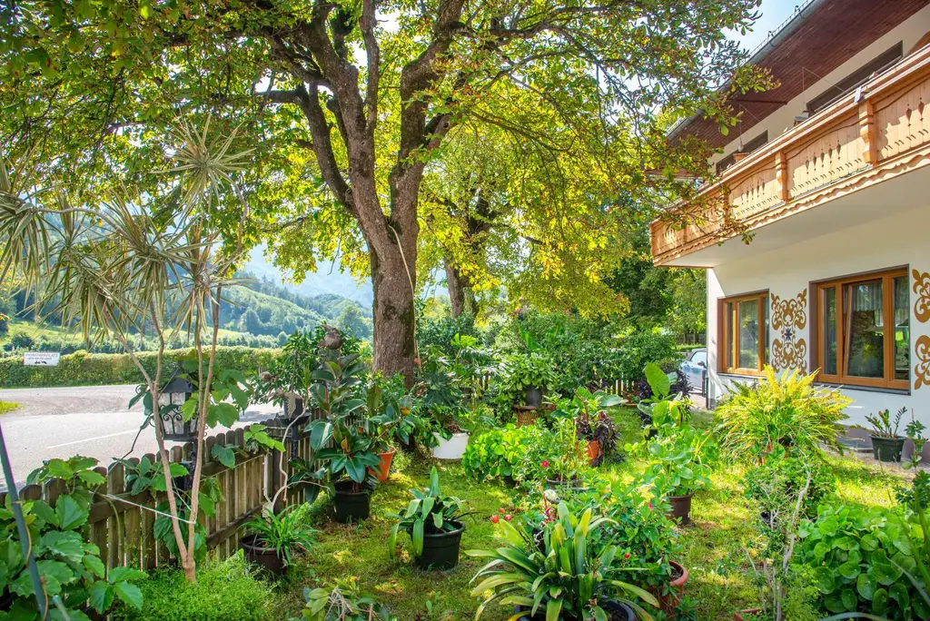 "Hof zur Steinwänd" Gasthof und Bauernhof mit Fremdenzimmern - Wald und Wiesen!