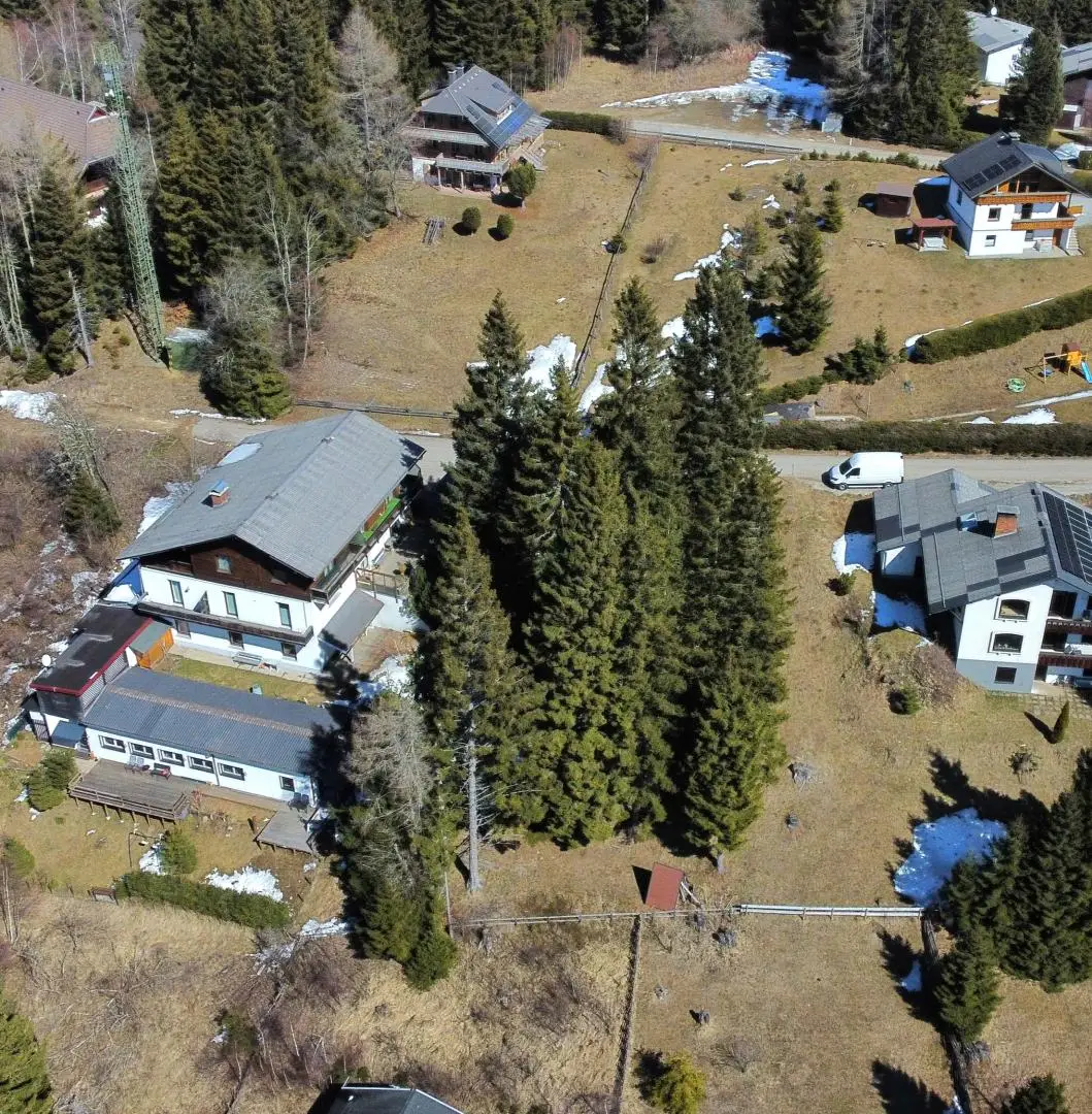 Grundstück mit Bäumen