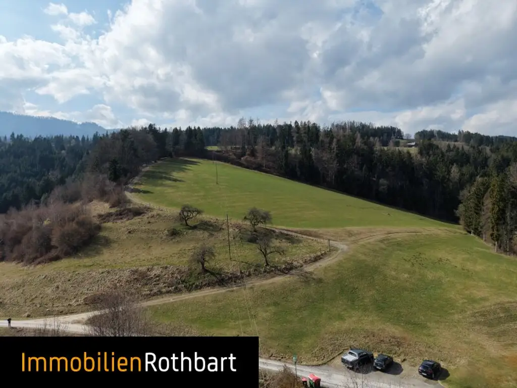 Wald mit Wiese und Zinshaus!