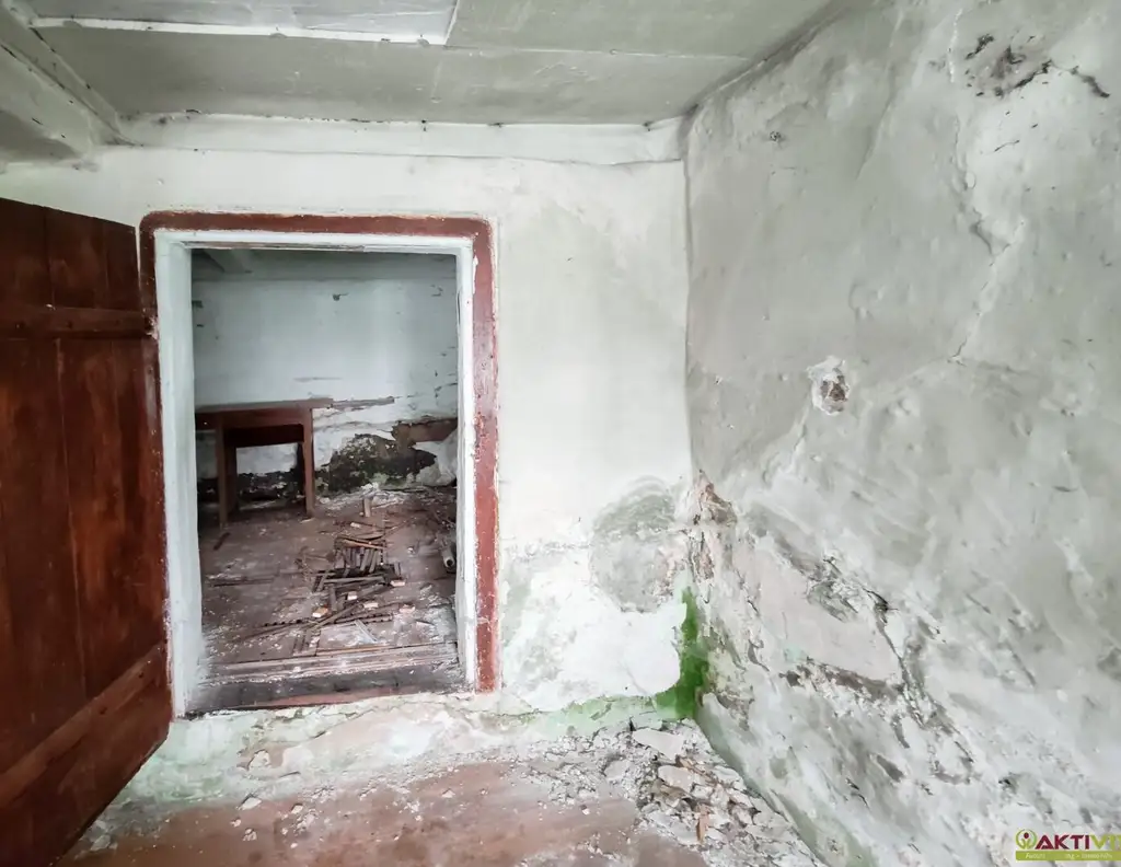 Großes Freiland-Grundstück mit Altbestand in Hochebenenlage bei Kammersberg.