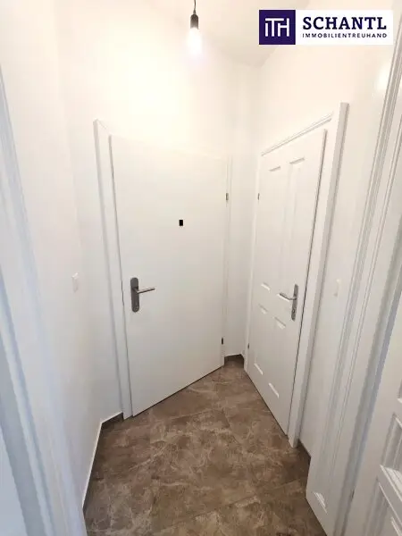 Ein Wiener Märchen beim Kutschkermarkt! Altbaucharme, Absolute Ruhelage, Flügeltüren, Hofidylle und Balkon-Glück! Prunkvolles Stiegenhaus + Beste Infrastruktur! Jetzt zugreifen!