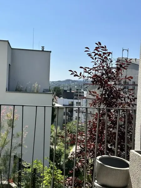 NEUBAUWOHNUNG ZUR MIETE