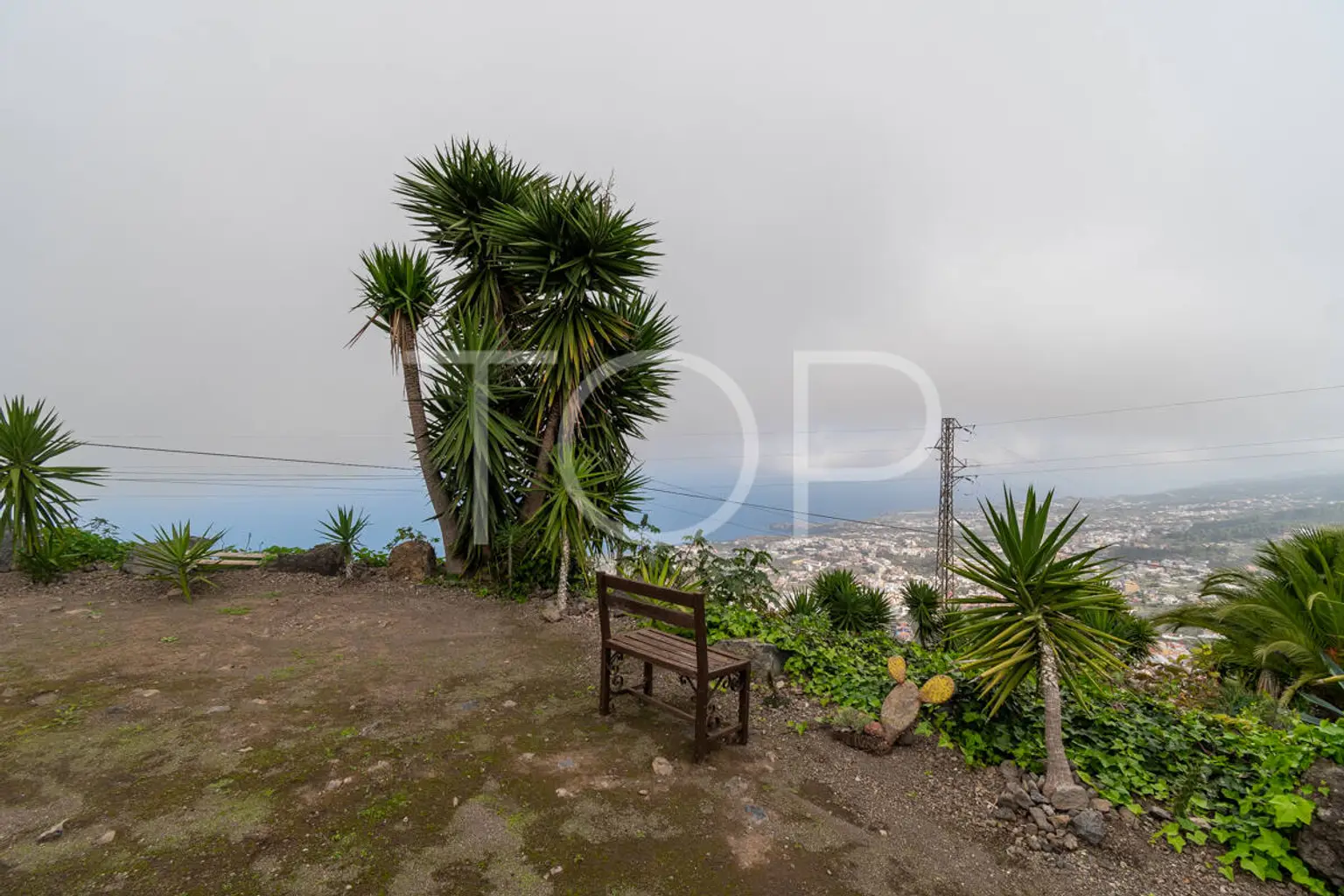 Haus-Icod-de-Los-Vinos-xxx-Teneriffa-32