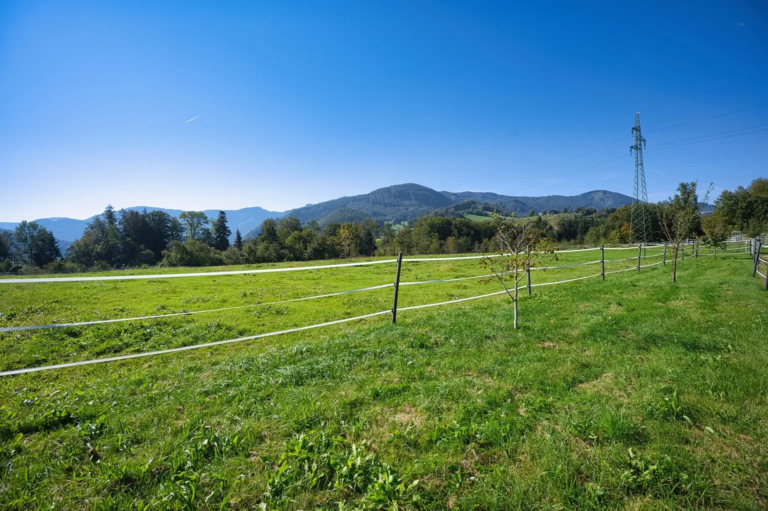 Reiterhof. Vierkanter. Wirtshaus. Zimmervermietung. Wohnungen. Natur.