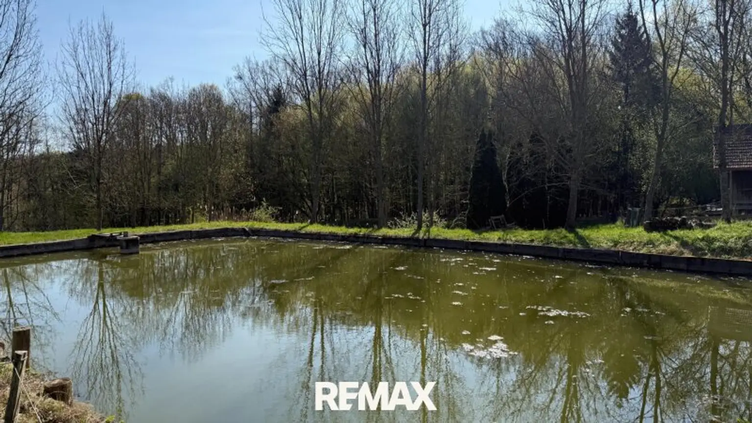 Teich 1
