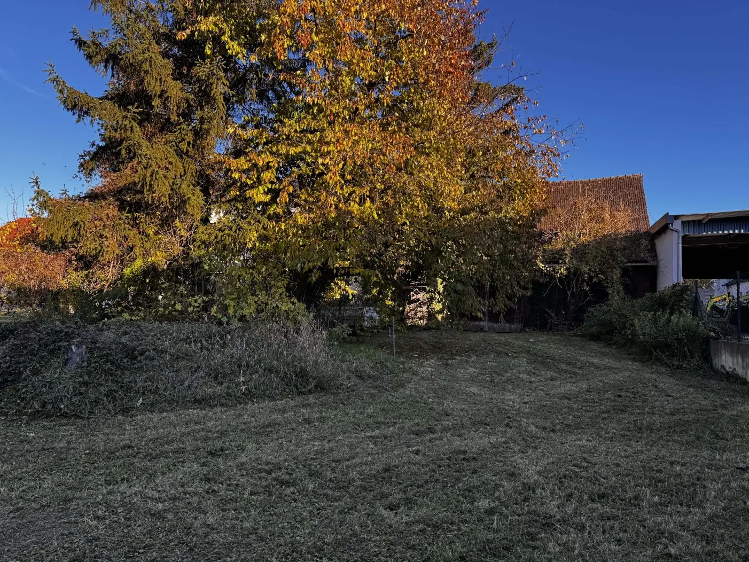 "Ein Grund zum Bleiben"