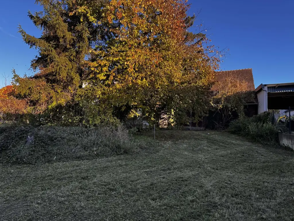 "Ein Grund zum Bleiben"