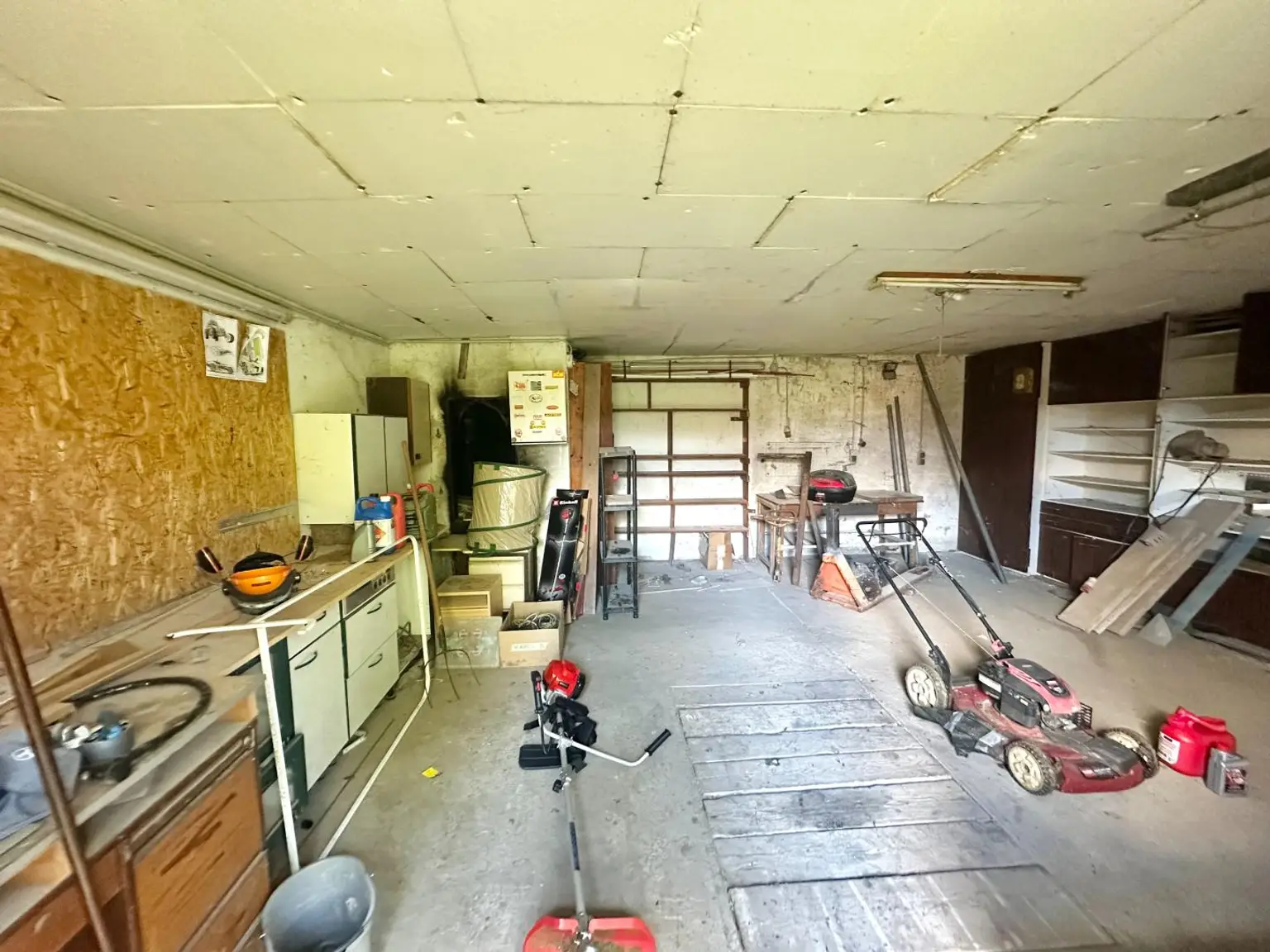 Reiterparadies im Weinviertel – Ihr Traum vom Landleben!