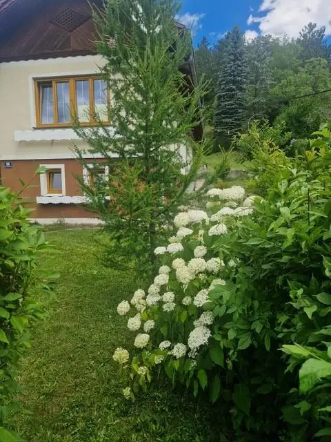 Ihre Liegenschaft mit soviel Wald! Errichten Sie hier Ihr Traumhaus!