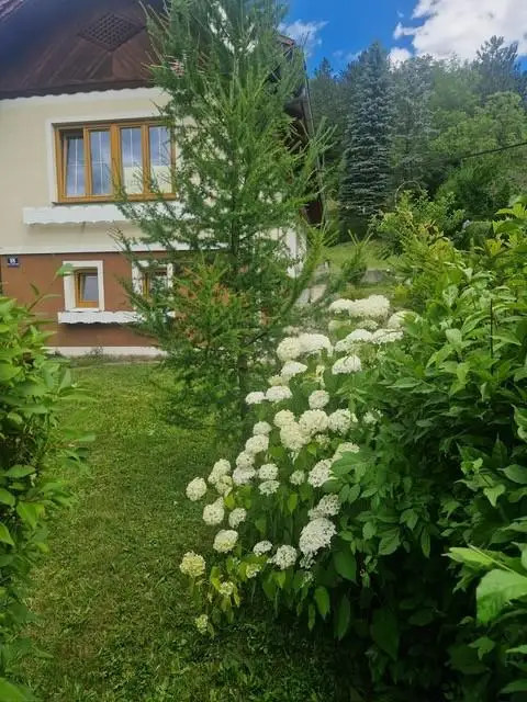 Ihre Liegenschaft mit soviel Wald! Errichten Sie hier Ihr Traumhaus!
