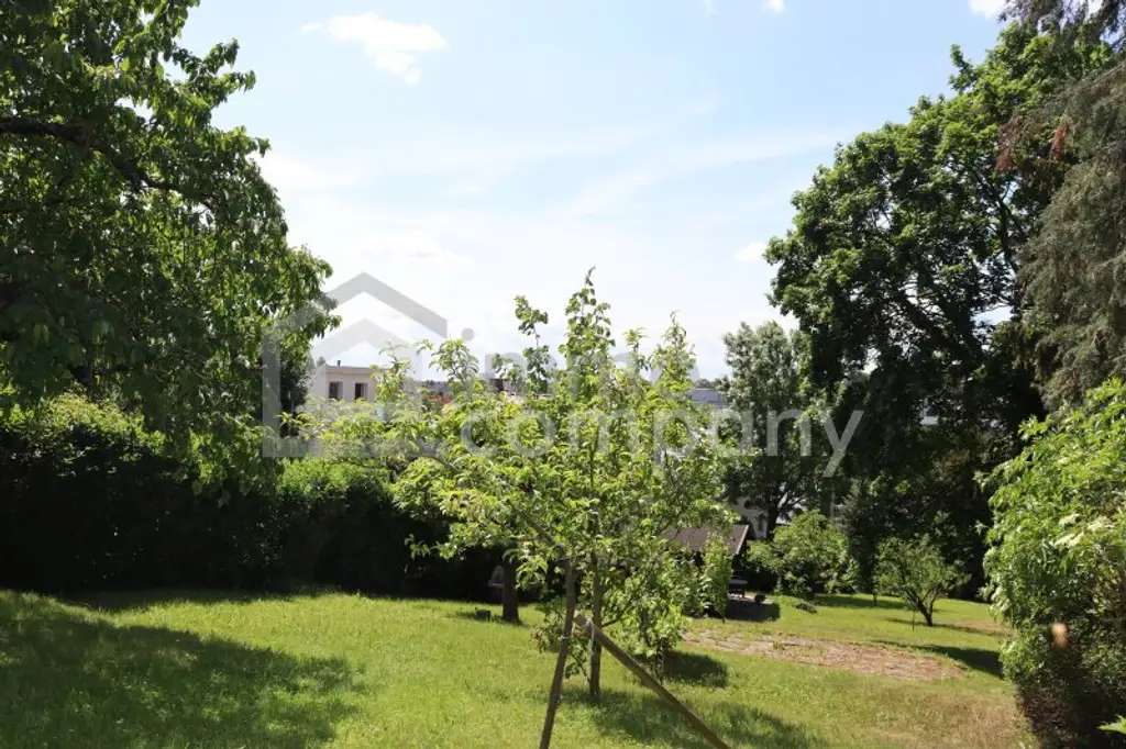 ES GIBT FÜR ALLES EINEN GRUND - wir haben gleich 3 davon…