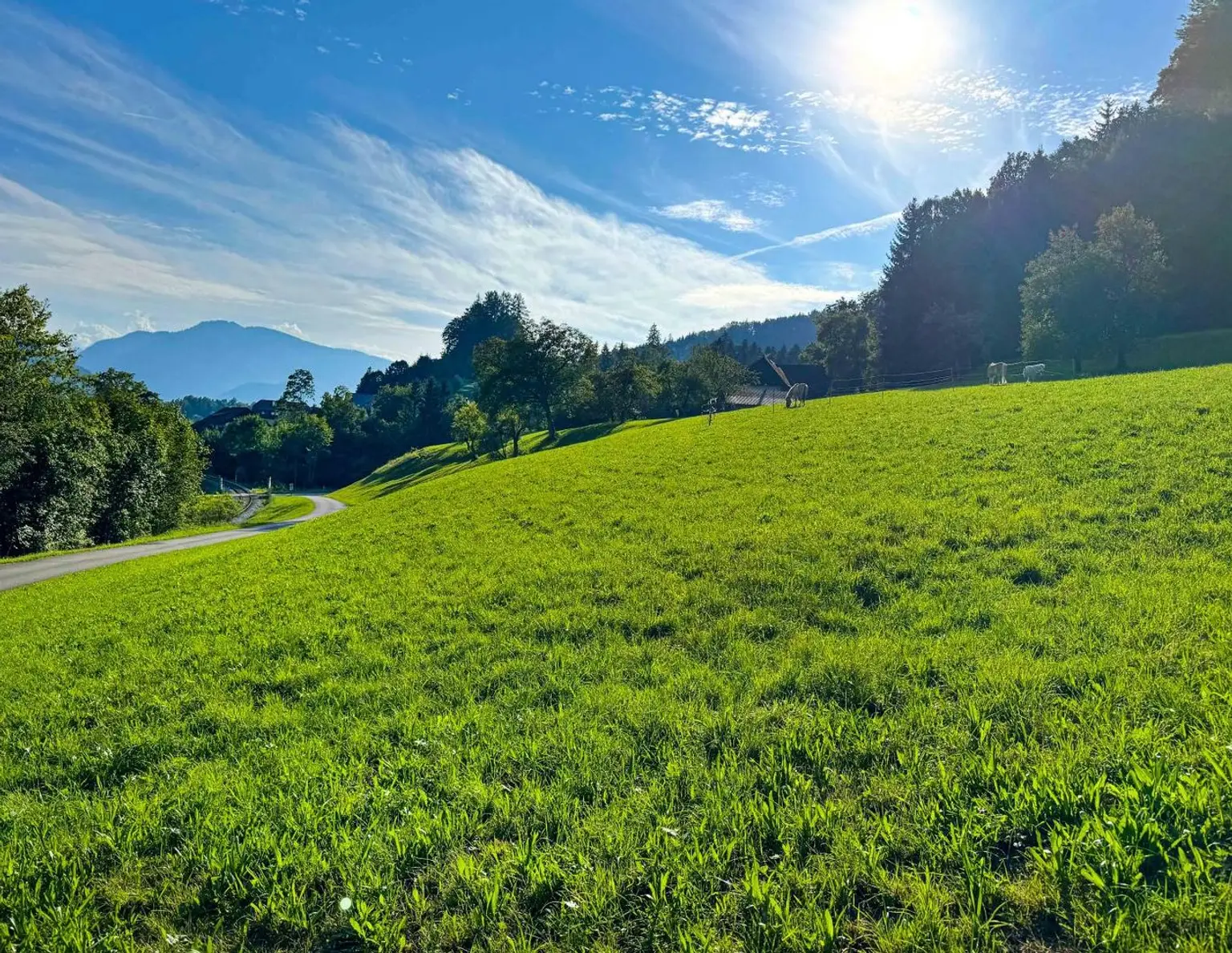 HERBSTANGEBOT im schönen Almtal! KEIN BAUZWANG !