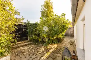 Garten 1