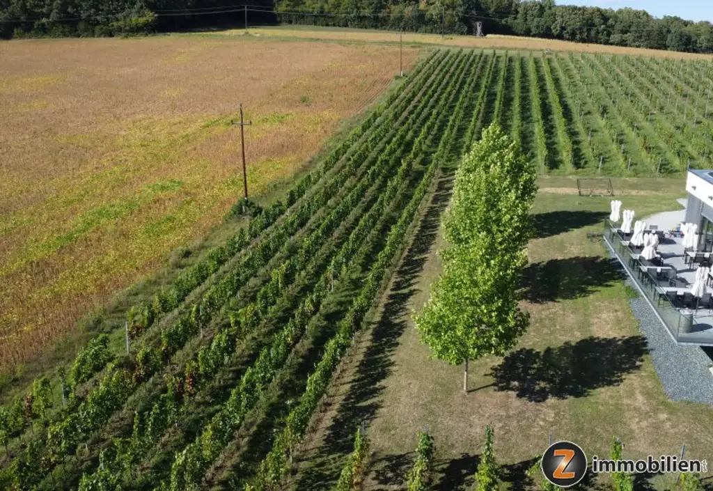 Weingut mit ca. 4 ha Weingärten im Südburgenland!