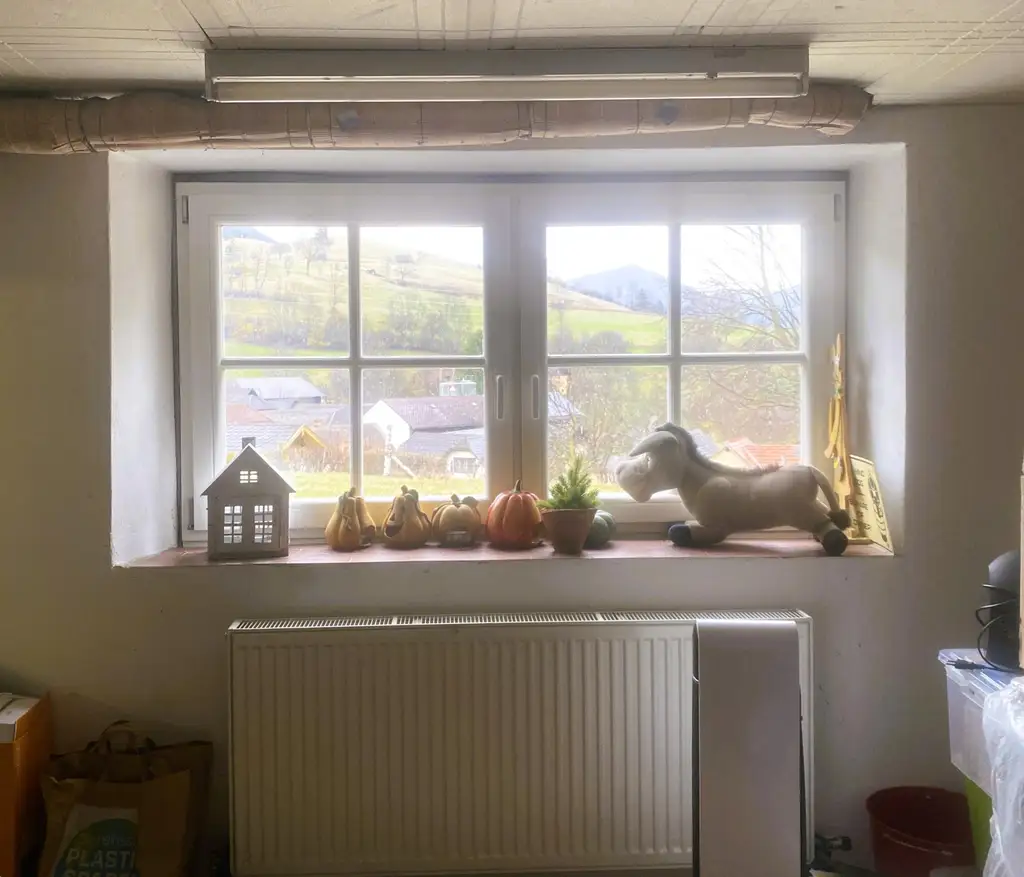 Einfamilienhaus und Gästehaus auf großem Grundstück, Pool und Schneebergblick!