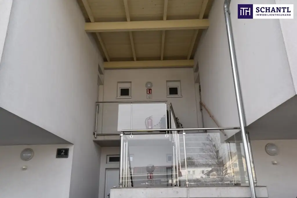 Traumhafte, lichtdurchflutete 3-Zimmer-Wohnung mit gigantischer Terrasse und Blick ins Grüne!