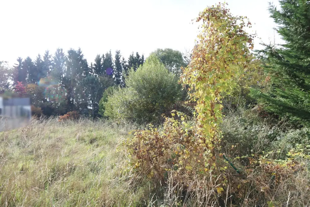 Vom Traum zum Zuhause – 821 m² Lebensfreude in Steinhaus - Grundstück mit vielen Möglichkeiten