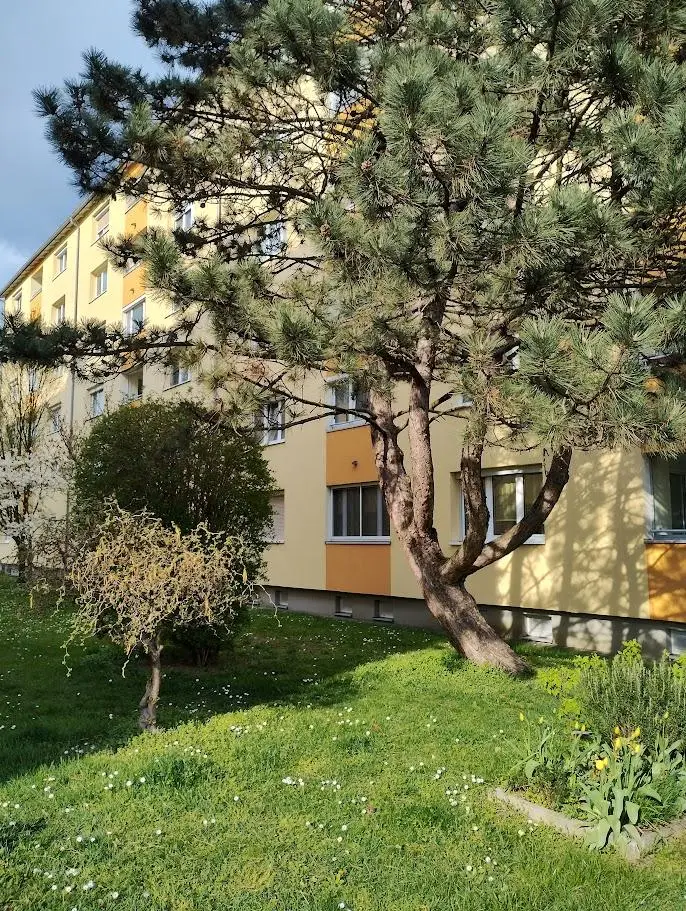 IMG_20250411_002632875_HDR