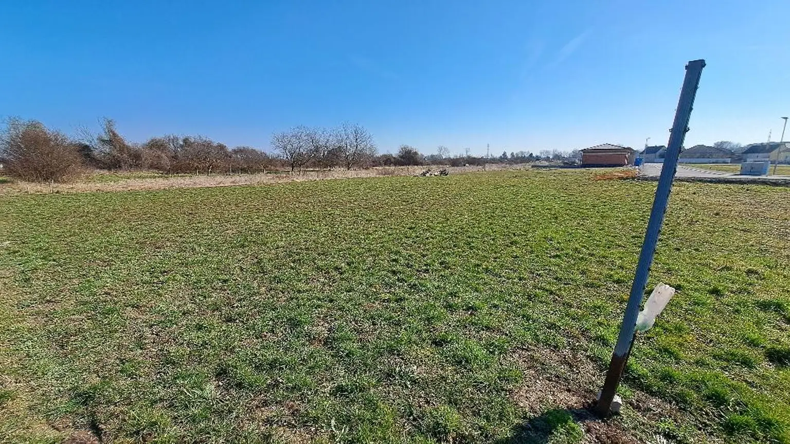 20260228_105113_resized