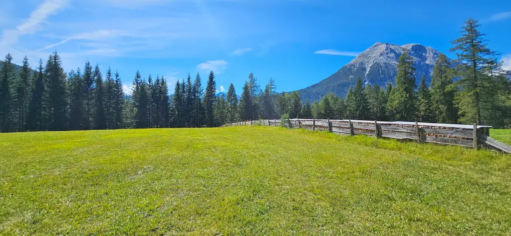 Naturnah investieren: Landwirtschafts- und Waldfläche!