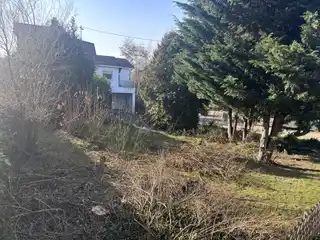 Garten (2)