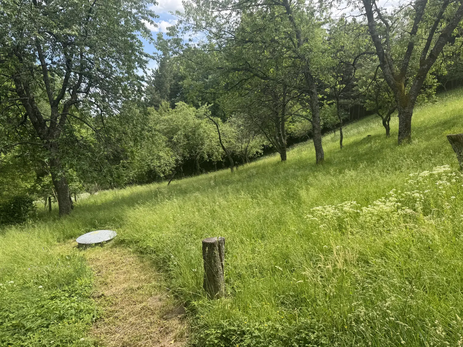 Garten