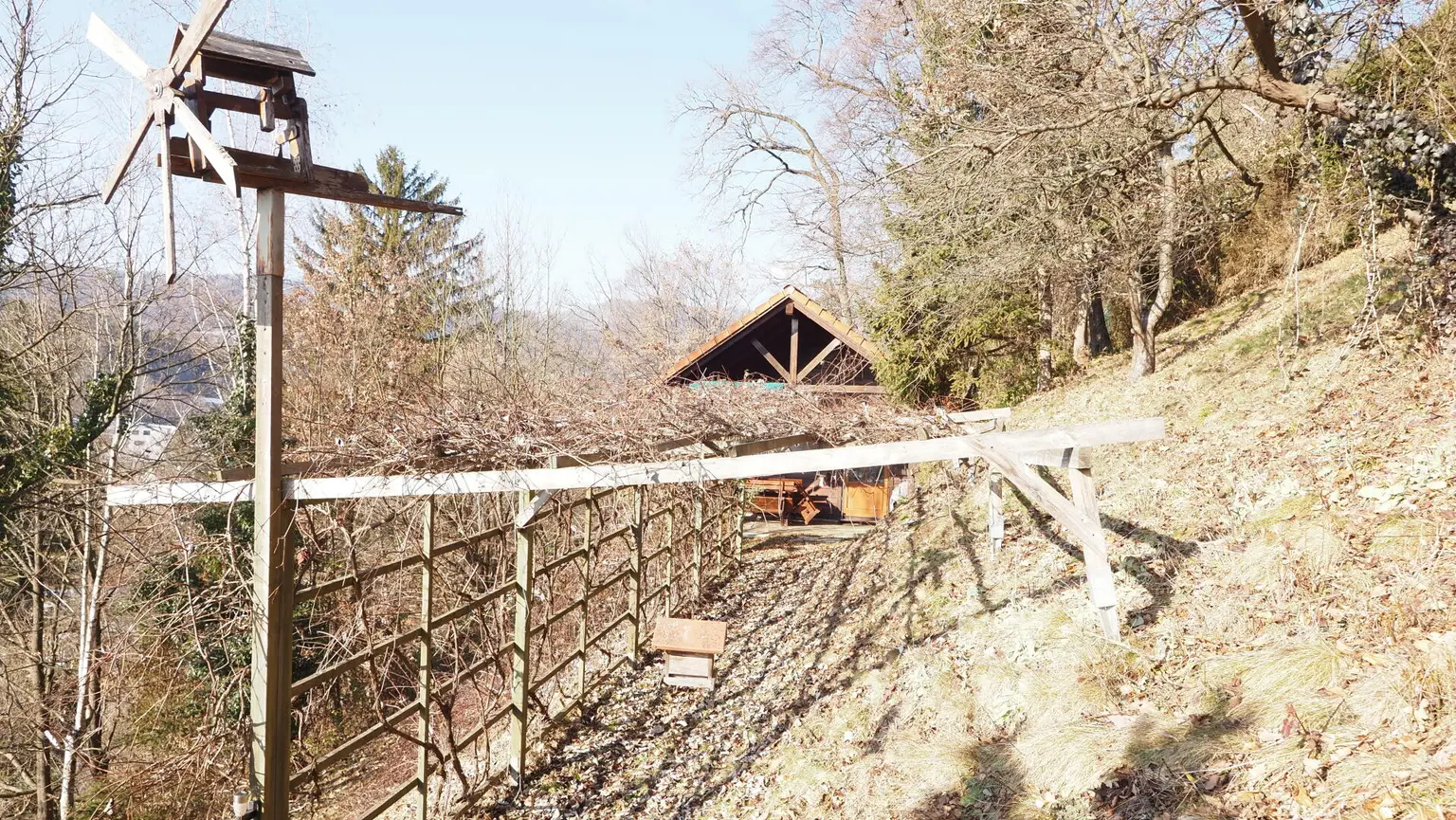 Ansicht mit Weinlaubengang