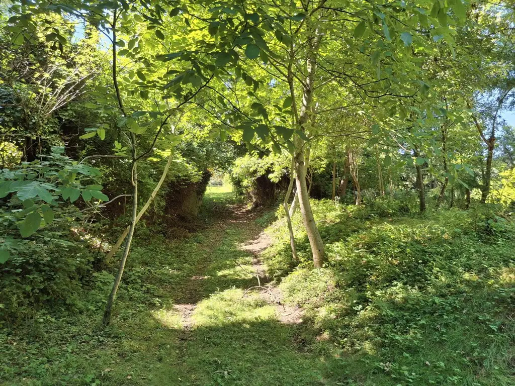 Grundstück für Freigeister in idyllischer Waldlage