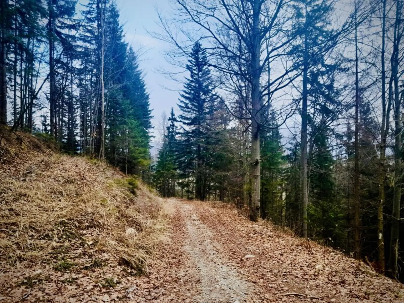 gut bespielbare Hänge