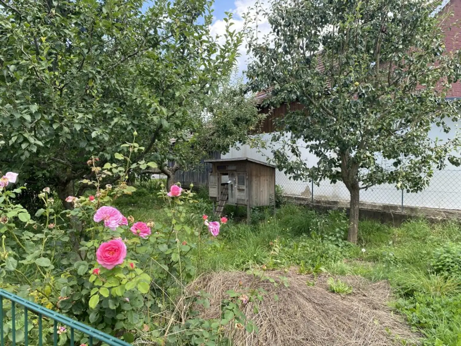 2 Häuser mit Nebengebäuden und Garten