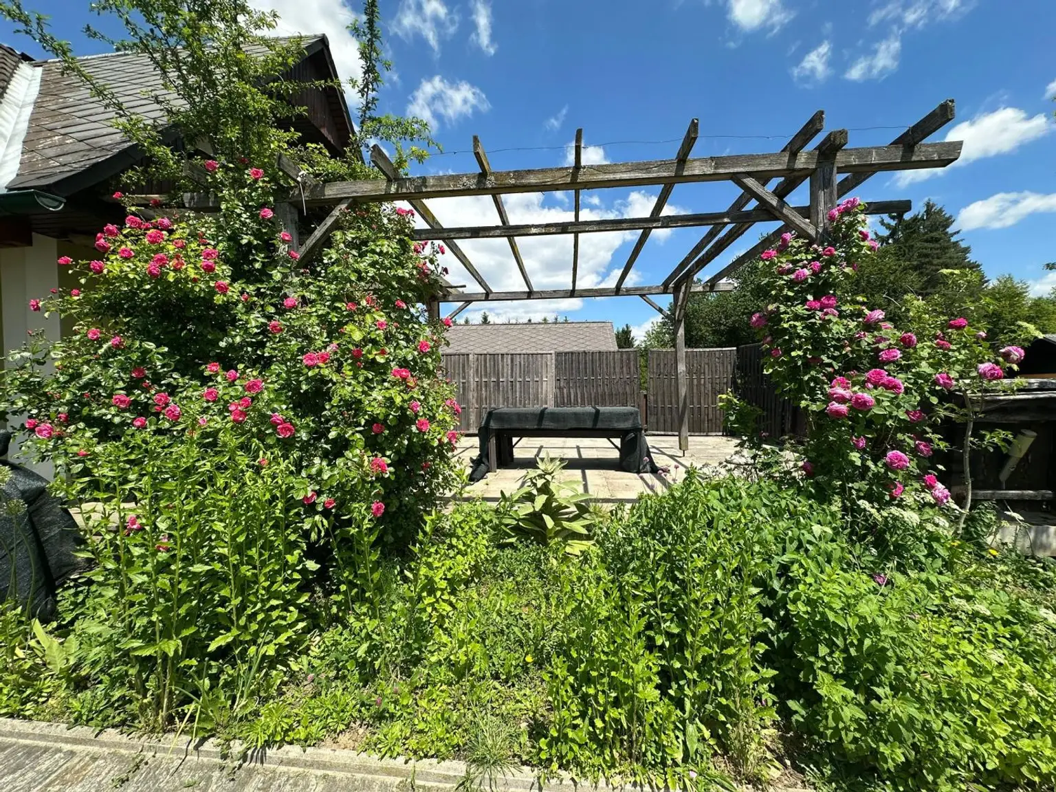 Terrasse 2