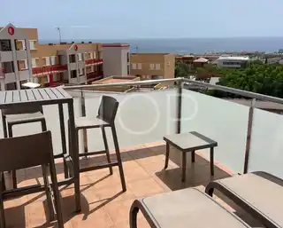 PHOTO-2026-01-13-20-03-25_1