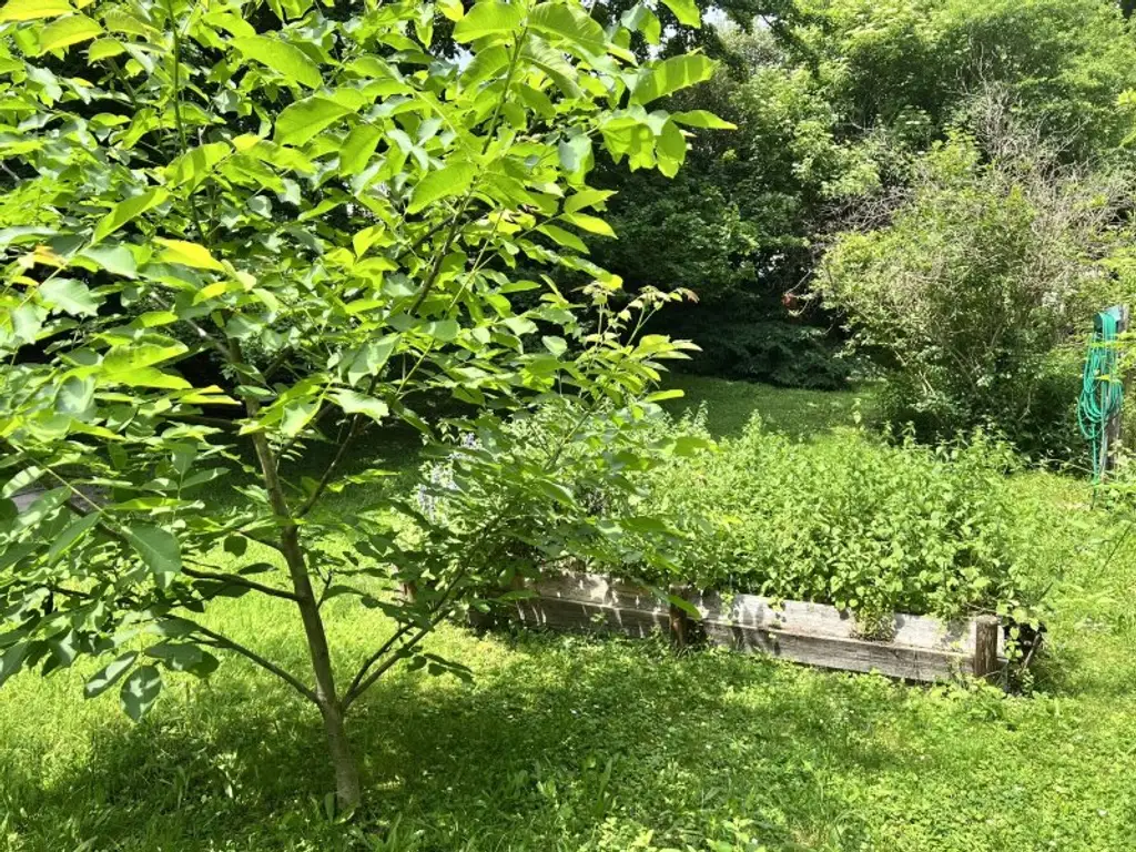 Rarität (!) Großzügige Villa in Badener Bestlage am Mitterberg mit prächtigem Garten - zentrumsnahe (!)