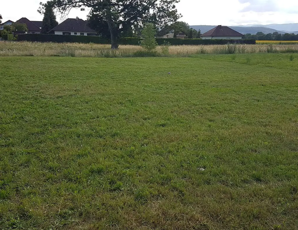 PROVISIONSFREI: Baugrundstück in ruhiger Lage - Steinabrückl bei Wr. Neustadt (VERHANDLUNGSBASIS)