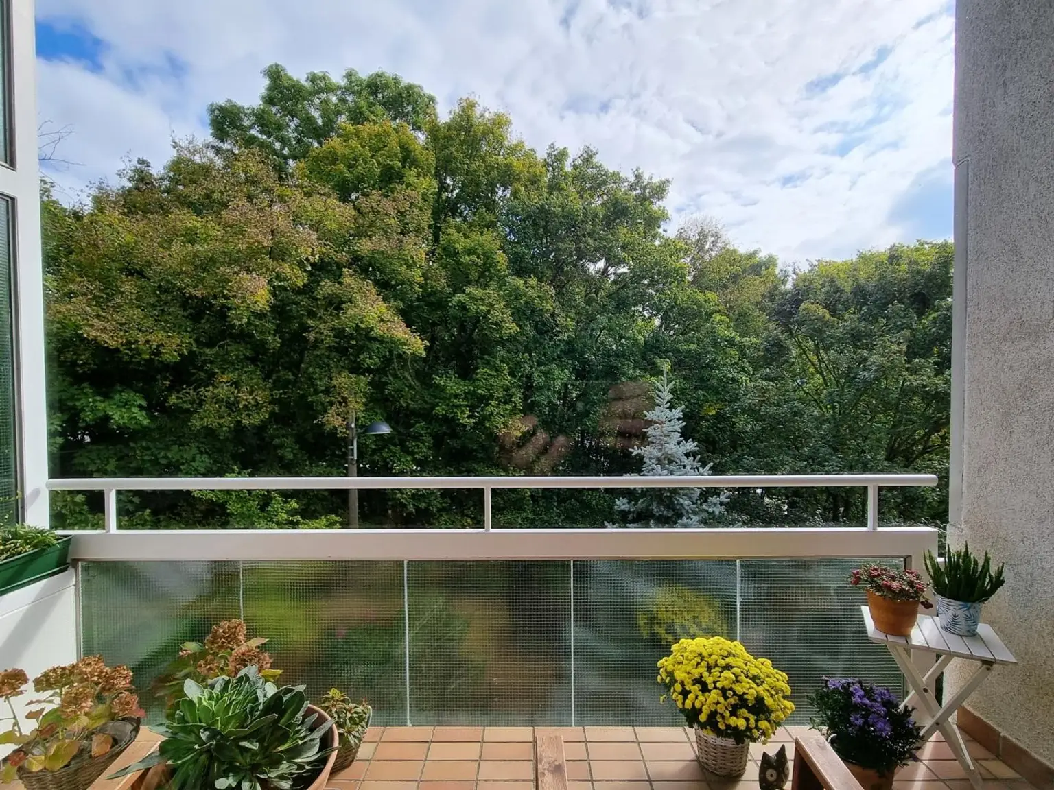 WOHNUNG  MIT  WOHNRECHT