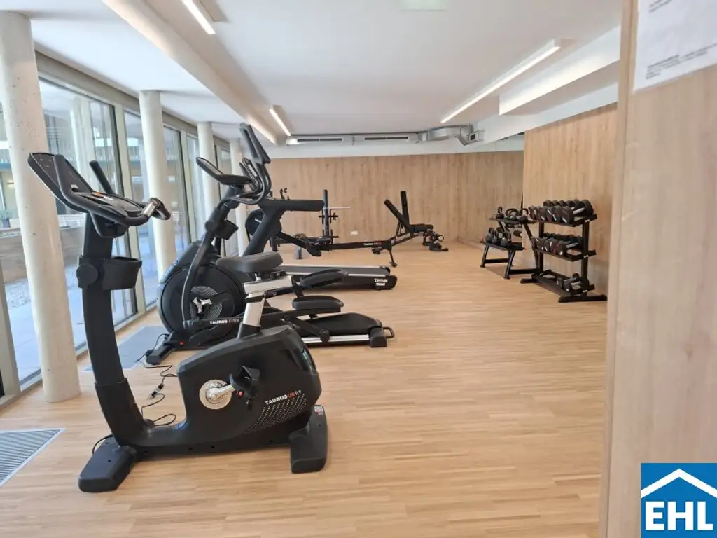 Fitness, Wellness & Work-Life-Balance