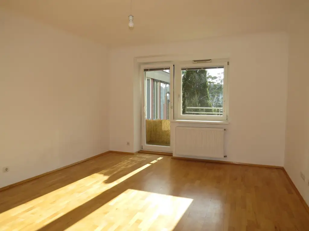 PRIVATVERKAUF: 1190 Wien/bei Nussdorf, Donauinsel: Entzückende Garconniere im 3. Stock mit Balkon