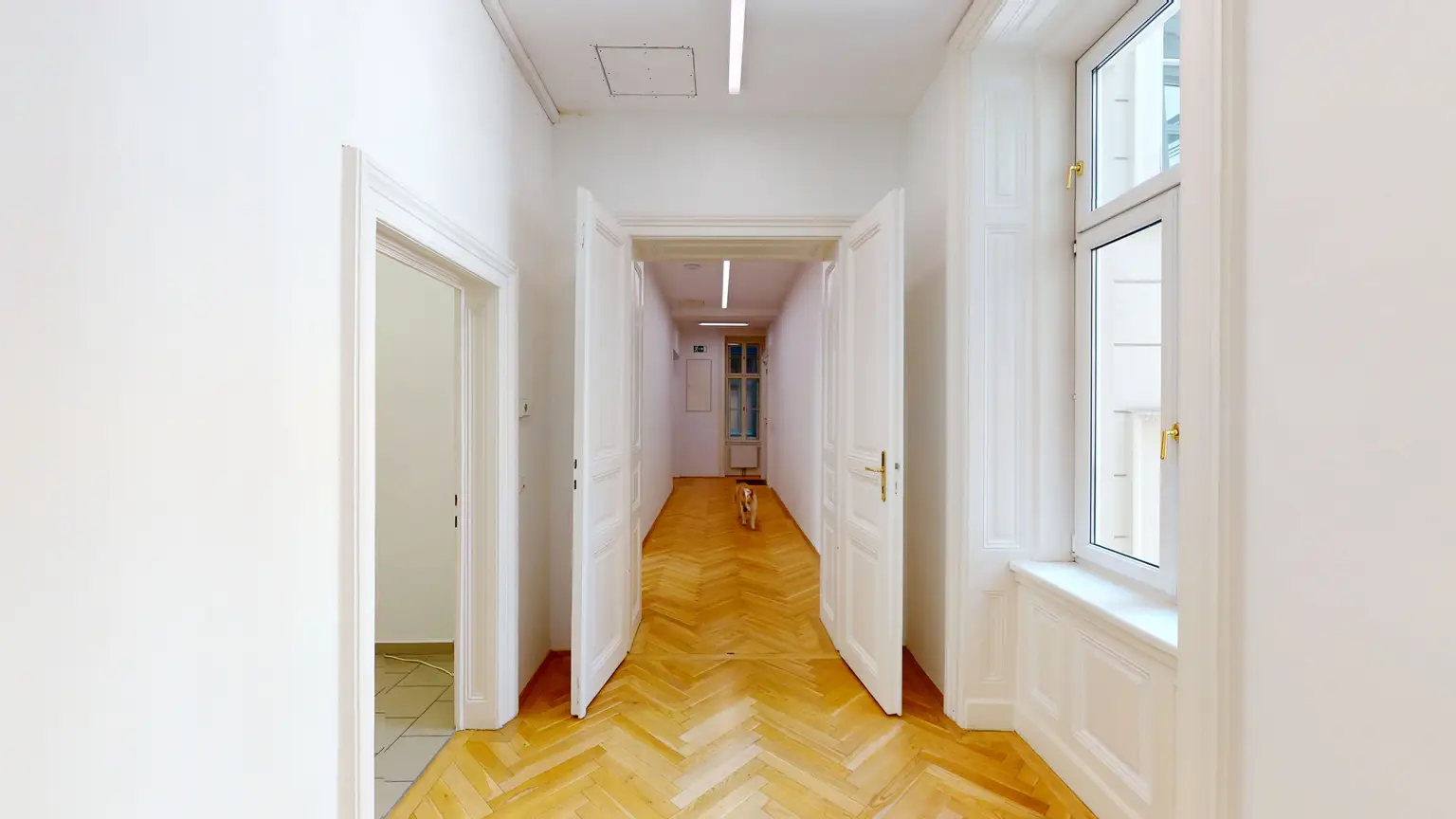 Repräsentatives Altbau-Office am Börseplatz – Nachmieter ab ca. Oktober 2025 gesucht