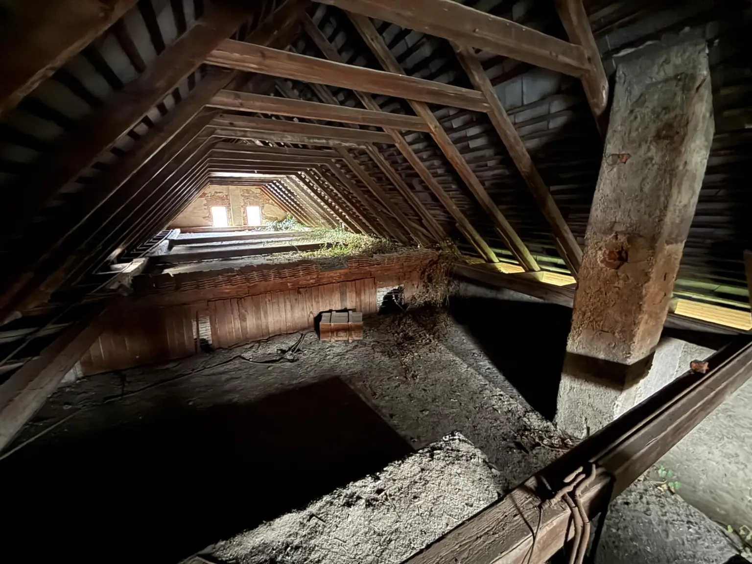 20251114_100151004_iOS