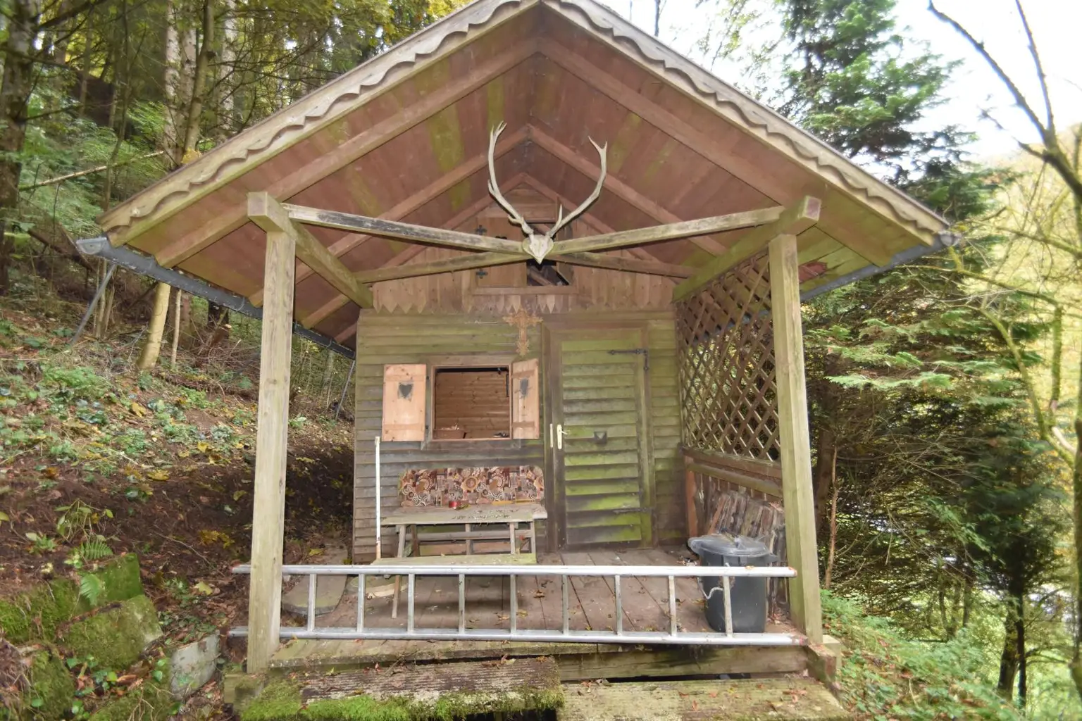 Wohnhaus mit großem Waldgrundstück