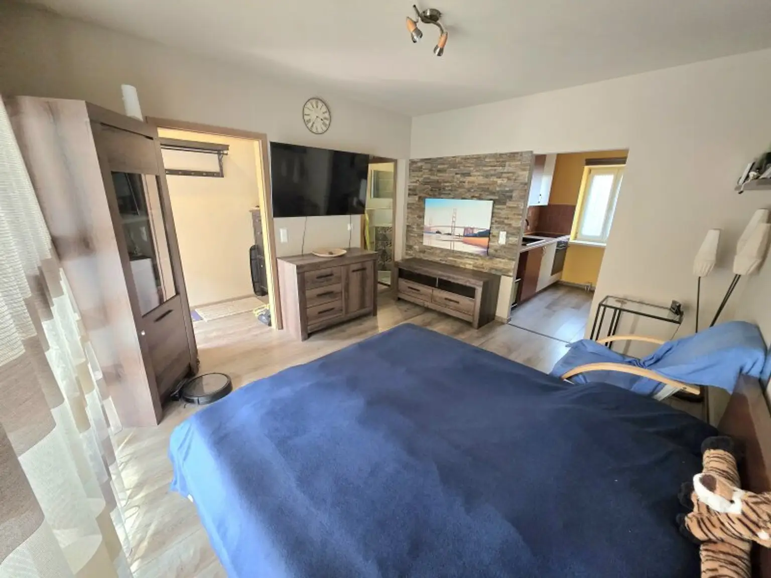 Wohn- und Schlafzimmer